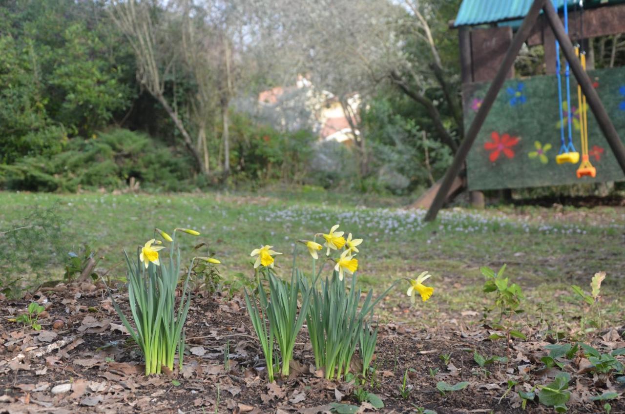Il Giardino Secreto Apartman Manziana Kültér fotó