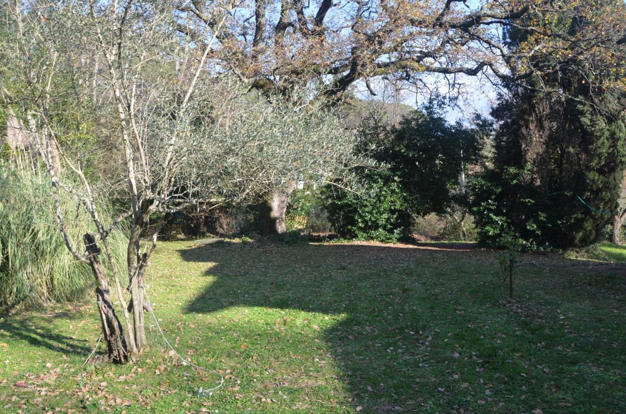 Il Giardino Secreto Apartman Manziana Kültér fotó