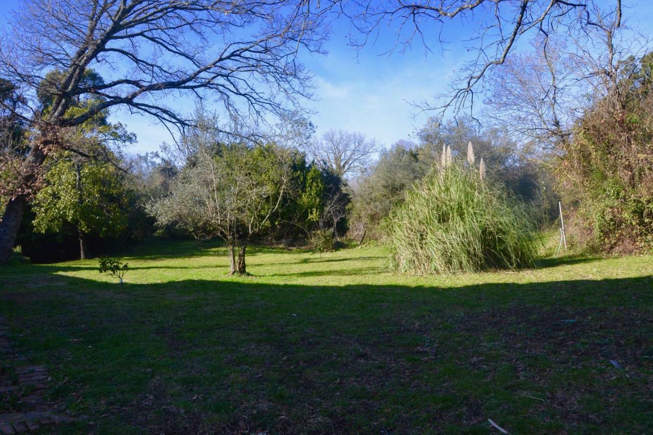 Il Giardino Secreto Apartman Manziana Kültér fotó